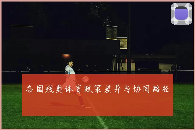 各国残奥体育政策差异与协同路径