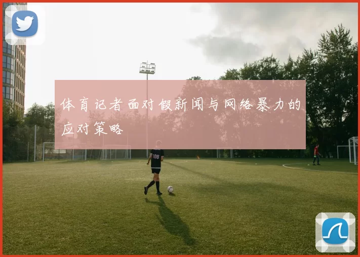 体育记者面对假新闻与网络暴力的应对策略